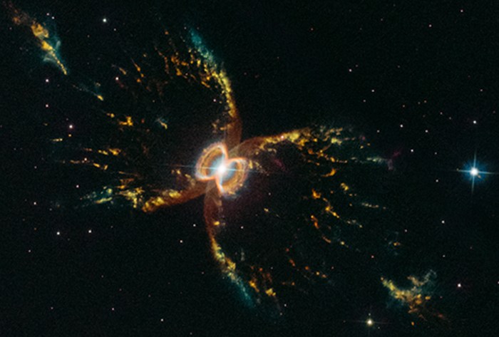 Crab store nebula pictures