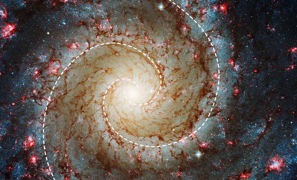 Full-color Hubble Space Telescope image of various wavelengths of visible light from the spiral galaxy M74 (the Phantom Galaxy). The perspective is face-on, with the core of the galaxy in the center of the image and the two galaxy arms winding out counter-clockwise from the core toward the edges of the image. The view of the galaxy is cropped such that portions of each arm are cut off and the outermost regions of the galaxy are out of view. The galaxy core is bright yellowish-white, decreasing in brightness with distance from the center. The core appears very large and hazy, with no details apparent in the center. Winding counter-clockwise around the core are two distinct spiral arms traced by brown wispy veins of dust; tiny blue stars that form a blueish fog between the brown dust lanes; and small clumps of blueish-white stars ringed with bright red gas. The brown lanes and veins of dust are most prominent in the inner region, just outside the core. The small blue stars and red knots of gas become more prominent with distance out from the core. Several bright foreground stars (stars between the telescope and the Phantom Galaxy) with distinct cross-shaped diffraction patterns are scattered across the image.