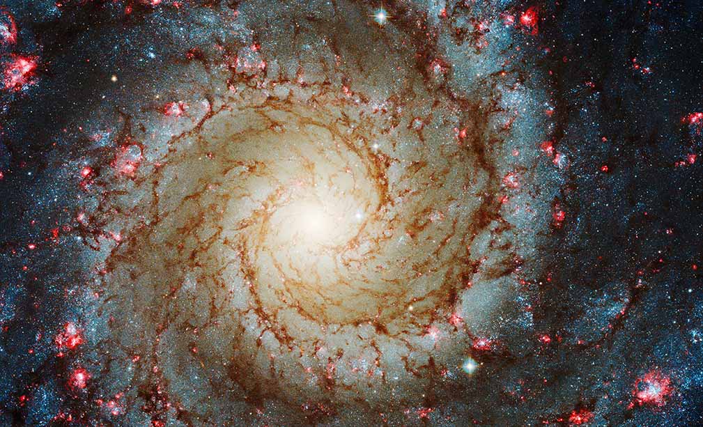 Full-color Hubble Space Telescope image of various wavelengths of visible light from the spiral galaxy M74 (the Phantom Galaxy). The perspective is face-on, with the core of the galaxy in the center of the image and the two galaxy arms winding out counter-clockwise from the core toward the edges of the image. The view of the galaxy is cropped such that portions of each arm are cut off and the outermost regions of the galaxy are out of view. The galaxy core is bright yellowish-white, decreasing in brightness with distance from the center. The core appears very large and hazy, with no details apparent in the center. Winding counter-clockwise around the core are two distinct spiral arms traced by brown wispy veins of dust; tiny blue stars that form a blueish fog between the brown dust lanes; and small clumps of blueish-white stars ringed with bright red gas. The brown lanes and veins of dust are most prominent in the inner region, just outside the core. The small blue stars and red knots of gas become more prominent with distance out from the core. Several bright foreground stars (stars between the telescope and the Phantom Galaxy) with distinct cross-shaped diffraction patterns are scattered across the image.