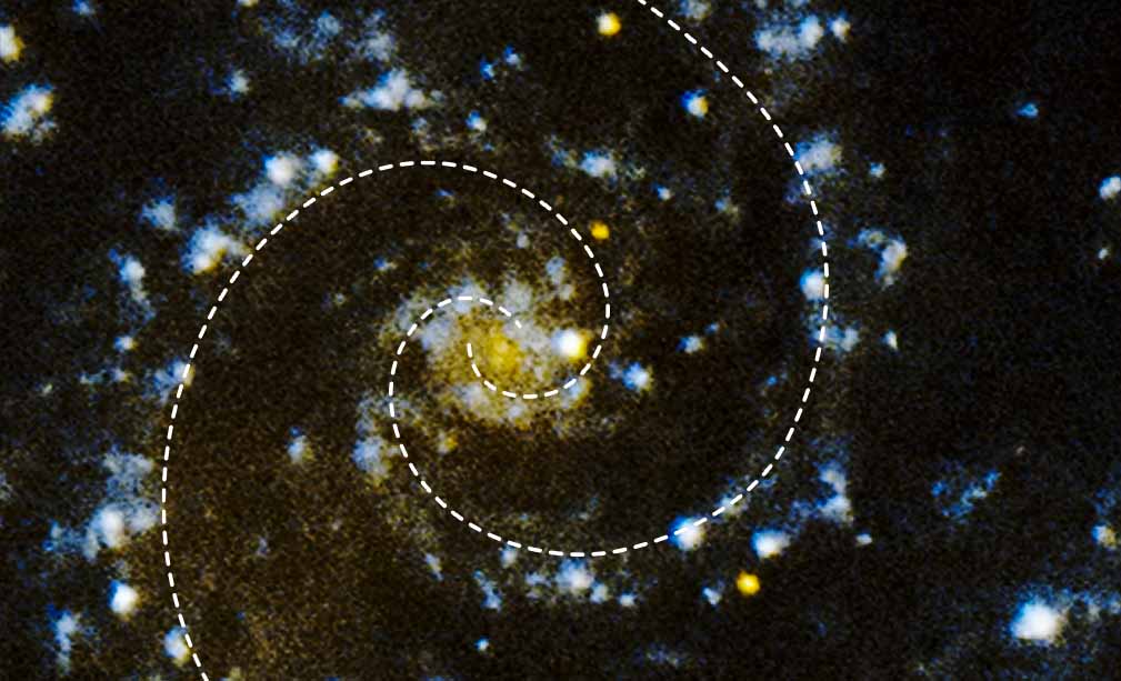 XMM-Newton image of two wavelengths of ultraviolet light from the spiral galaxy M74 (the Phantom Galaxy). The perspective and field of view are the same as the other images. This image is much less detailed than either the visible or mid-infrared images. The spiral shape of the galaxy is apparent, but the resolution is significantly lower and some structures are not visible at all. Unlike the other images, which are full-color, this image consists of only two colors: blue and orange. The galaxy core in the middle of the image is dominated by orange and surrounded by fuzzy blobs of blueish-white. Additional blue-white clumps are arranged to form two broad and discontinuous spirals winding counter-clockwise around the core. Some of the bright blue-white clumps correspond to the red-ringed knots in the visible and mid-infrared images. Others correspond to patches of tiny blue stars that form the blueish haze seen in the visible-light image. Several discrete circular orange blobs correspond to the bright foreground stars in the visible-light image. The lanes of dust seen clearly in the visible and mid-infrared images do not appear at all in this image, and are evident only as an absence of light.