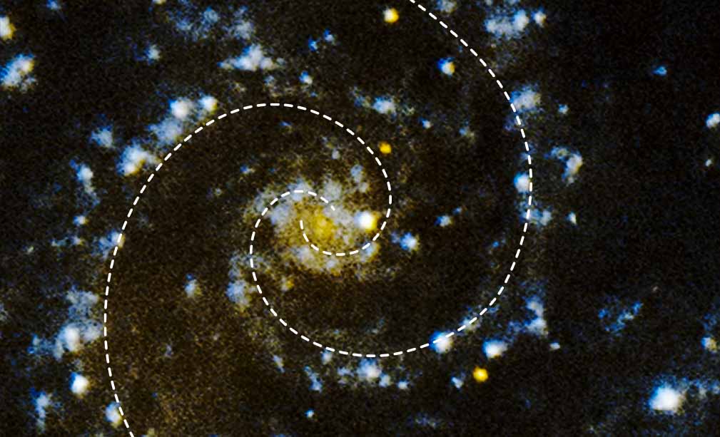 Webb and Hubble Observe Messier 74 in Multiple Wavelengths