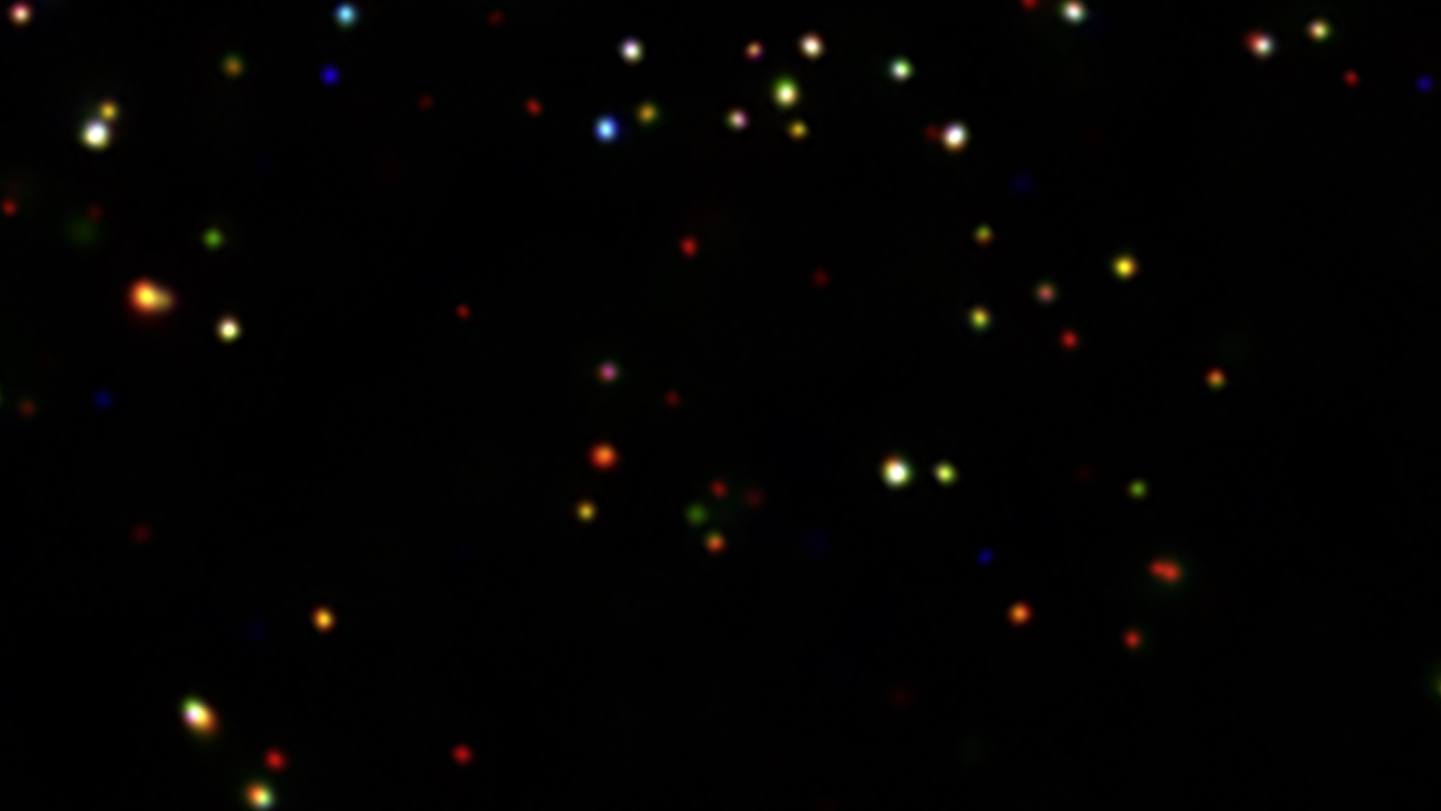 Scattered colored circles on a featureless black background
