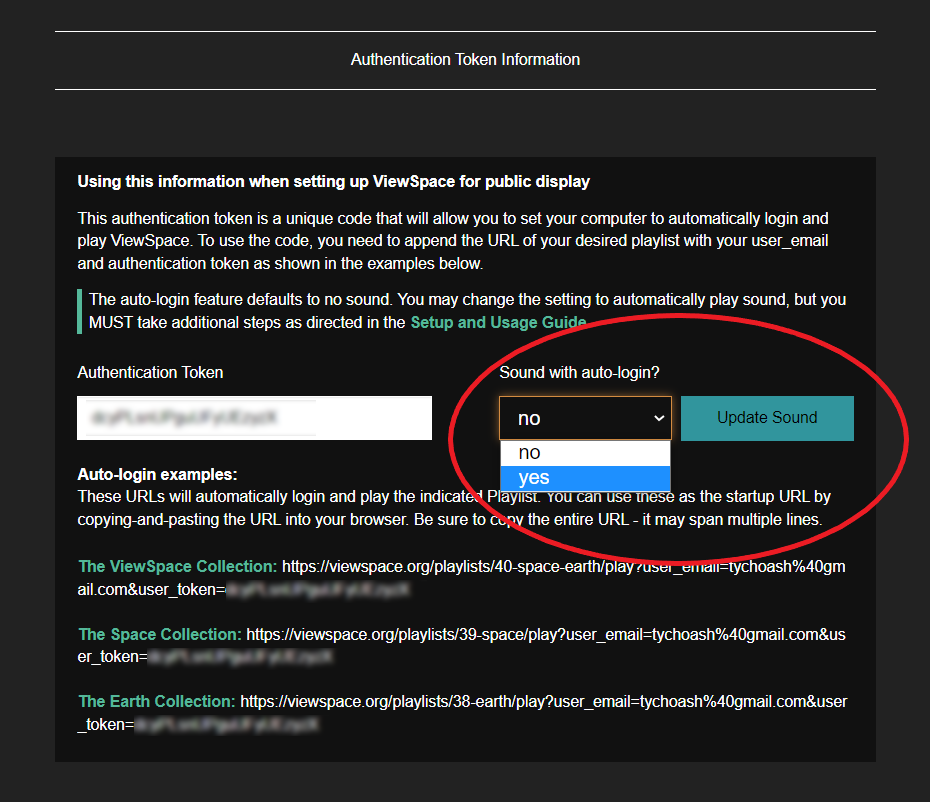 Screenshot of the Authentication Token Information section of the User Profile page on ViewSpace. The dropdown menu for "Sound with auto-login" is open and circled. "Yes" is highlighted.