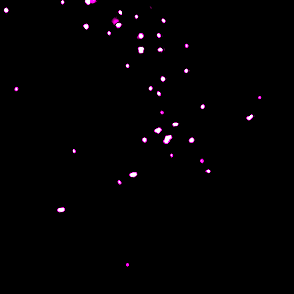 As each slider bar is manipulated, the view transitions from visible light to infrared light to x-ray light. In visible light: A cloud of dust shrouds a stellar nursery, but light from hidden, massive, newborn stars illuminates and carves out structures in the dust. In infrared light: The heated dust within the nebula glows (red and green), while stars behind the dust shine through (blue). In x-ray light: The most massive stars in the nebula that sculpt and carve the nebula shine with X-ray light.