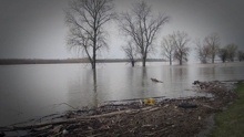 Photograph of a flooded river