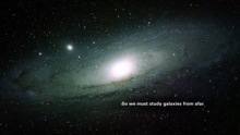 A galaxy. The center of the galaxy contains a bright object surrounded by circular layers of dark dust. There are white stars spread throughout the image.